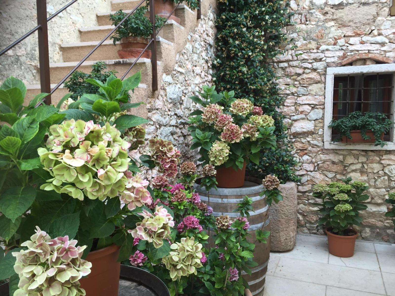 Agriturismo Ca' Verde SantʼAmbrogio di Valpolicella Exterior foto